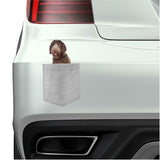 Labradoodle Dog in pocket Fridge Car Magnet Bumper Sticker App size 4"x7"