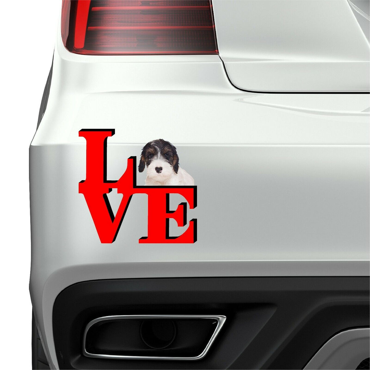 Sealyham Terrier Cute Dog Fridge Refrigerator Car Magnet