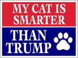 3 Pack Eco My Cat is Smarter Than Trump Biden Political Bumper Magnet 4 in x 3 in